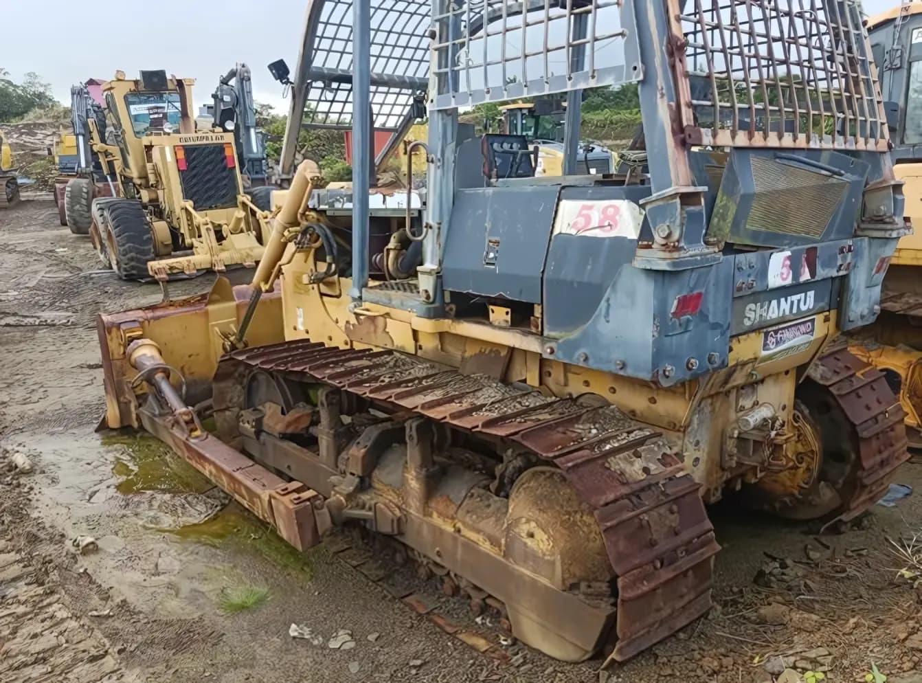 2017 Shantui SD16TF Forest Bulldozer | BD58 - Image 3